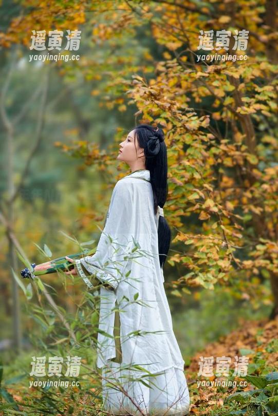 年年Nnian 年年Nnian与她的双人游:下载这对不务正业的搭档吧!