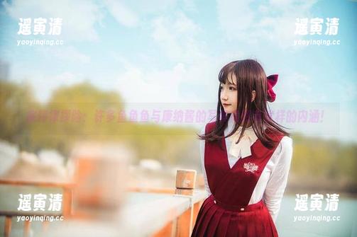 底特律探险：许多鱼鱼鱼与康纳酱的写真竟然有这样的内涵！